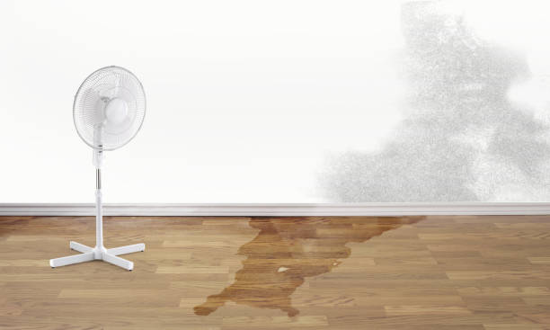 Best Water damage restoration services  in Jacksonville Beach, FL